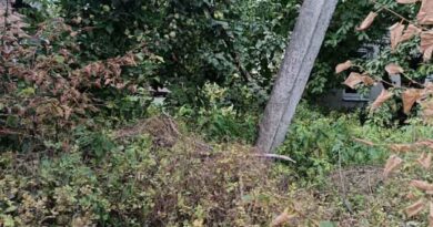 Небяспечны адрас на Матросава ў Ляхавічах. У чым справа?
