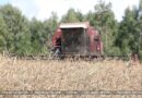 Брестская область завершила уборку озимого рапса Брестская область завершила уборку озимого рапса