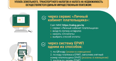 Нововведения и льготы. Что нужно знать об уплате имущественных налогов за 2025 год Нововведения и льготы. Что нужно знать об уплате имущественных налогов за 2025 год