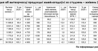 Жывёлагадоўля раёна працягвае нарошчваць мускулатуру. Па выніках работы апошняга месяца лета жывёлагадоўля Ляхавіцкага раёна амаль выйшла на пяць тысяч кілаграмаў сярэдняй удойнасці ад кожнай каровы Жывёлагадоўля раёна працягвае нарошчваць мускулатуру. Па выніках работы апошняга месяца лета жывёлагадоўля Ляхавіцкага раёна амаль выйшла на пяць тысяч кілаграмаў сярэдняй удойнасці ад кожнай каровы
