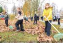 Лісця хопіць усім! У Ляхавіцкім раёне працягваецца месячнік добраўпарадкавання