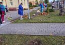 Благоустройство территорий в структурных подразделениях Ляховичской ЦРБ всегда на повестке дня