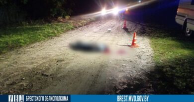 ДТП в Ляховичском районе: погиб пешеход