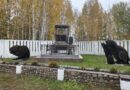 Что делают бобры на территории Ляховичского предприятия мелиоративных систем